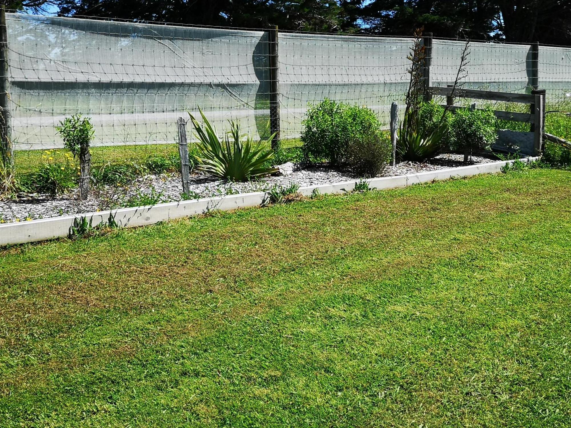 Bever Farm Waitoki Exterior foto