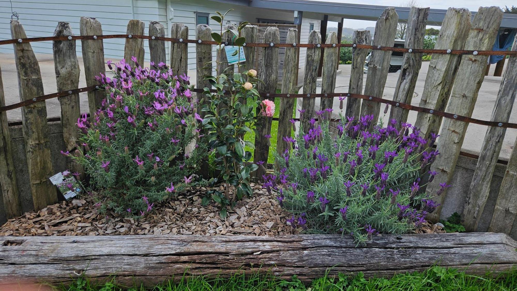 Bever Farm Waitoki Exterior foto